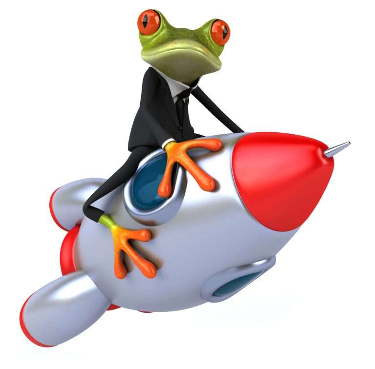 frog on rocket ship